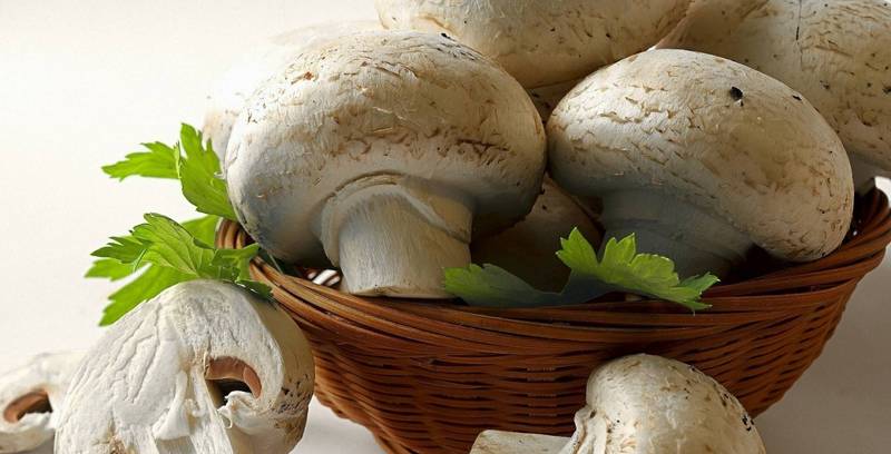 Серьезный удар по печени с какими продуктами нельзя сочетать грибы