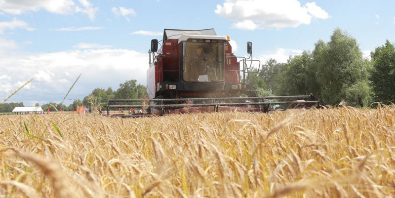 уборка зерновых в беларуси