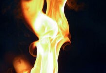 Хозяин и его гость погибли при пожаре в доме в Чаусском районе Хозяин и его гость погибли при пожаре в доме в Чаусском районе