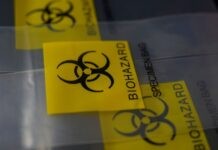 В МГУ рассказали об угрозе попадания на Землю космических вирусов с метеоритов В МГУ рассказали об угрозе попадания на Землю космических вирусов с метеоритов