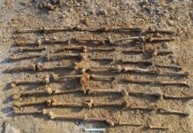 Останки 40 человек обнаружены на строительной площадке в Минске Останки 40 человек обнаружены на строительной площадке в Минске