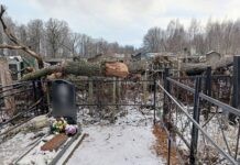 В Могилеве молодой мужчина погиб на кладбище В Могилеве молодой мужчина погиб на кладбище
