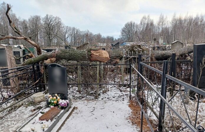 В Могилеве молодой мужчина погиб на кладбище