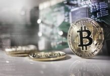 Узнали подробности, как в Кричеве реализуется проект по строительству майнинговой фермы Узнали подробности, как в Кричеве реализуется проект по строительству майнинговой фермы