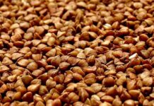 Польза гречки для организма Польза гречки для организма
