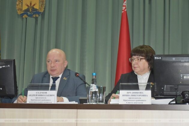 В Кричеве на исполкоме оценили, насколько качественно проводится работа по наведению порядка на земле
