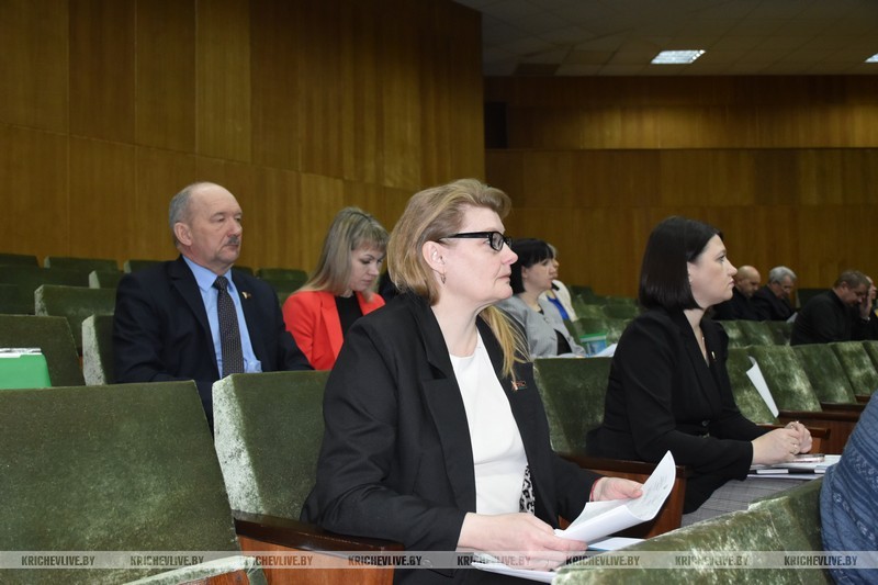 Узнали, куда направили депутаты средства, заработанные кричевлянами на субботниках
