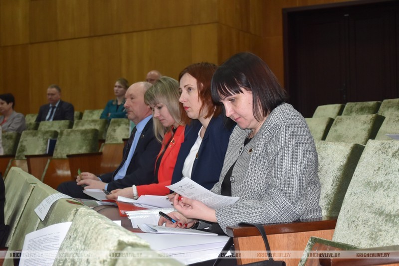Узнали, куда направили депутаты средства, заработанные кричевлянами на субботниках