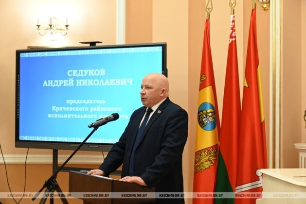 Торжественное мероприятие, посвященное Дню Конституции, прошло в Кричеве