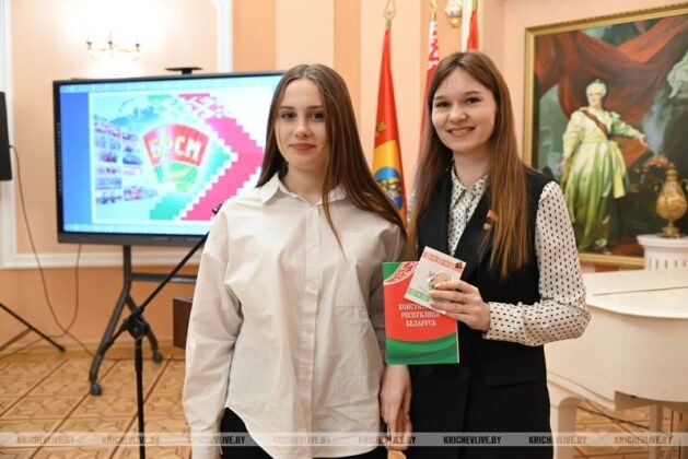 Торжественное мероприятие, посвященное Дню Конституции, прошло в Кричеве