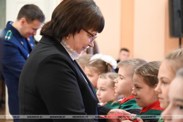 Торжественное мероприятие, посвященное Дню Конституции, прошло в Кричеве