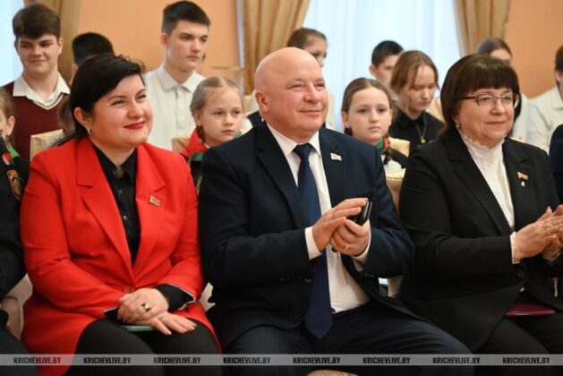 Торжественное мероприятие, посвященное Дню Конституции, прошло в Кричеве