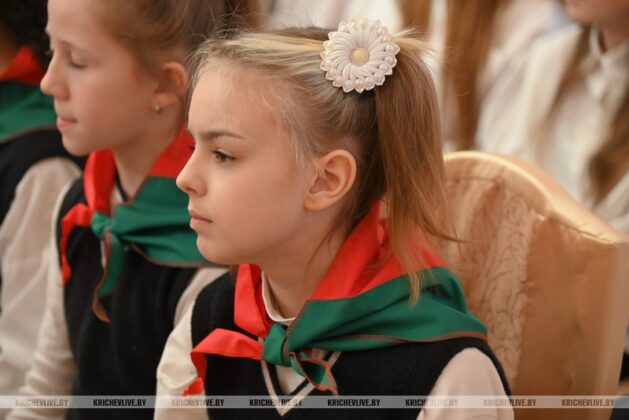 Торжественное мероприятие, посвященное Дню Конституции, прошло в Кричеве
