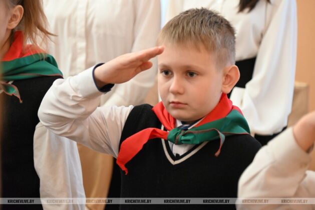 Торжественное мероприятие, посвященное Дню Конституции, прошло в Кричеве