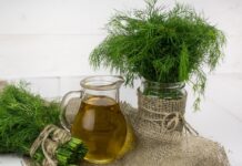 Врач назвала продукт, который помогает предотвратить онкологию Врач назвала продукт, который помогает предотвратить онкологию