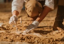 В Китае обнаружили останки неизвестного вида древних людей с огромными головами В Китае обнаружили останки неизвестного вида древних людей с огромными головами