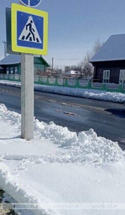 В Кричев пришла неожиданно зима