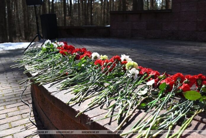 Трагические события в Хатыни вспоминали в Кричеве