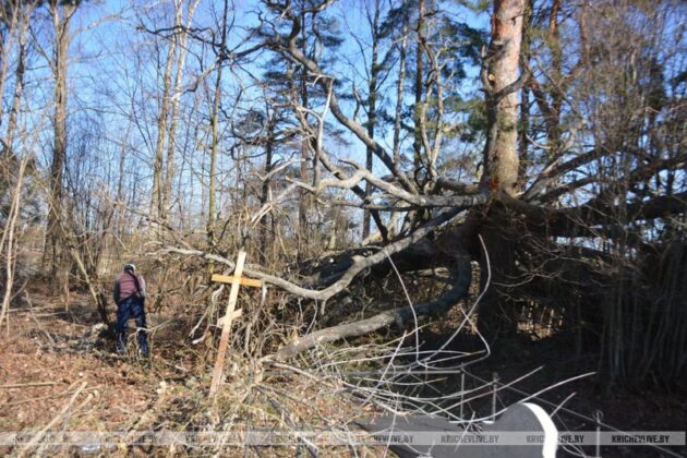 Около 40 человек вышло на субботник в деревни Сокольничи