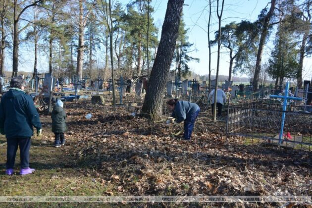 Около 40 человек вышло на субботник в деревни Сокольничи
