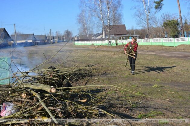 Около 40 человек вышло на субботник в деревни Сокольничи