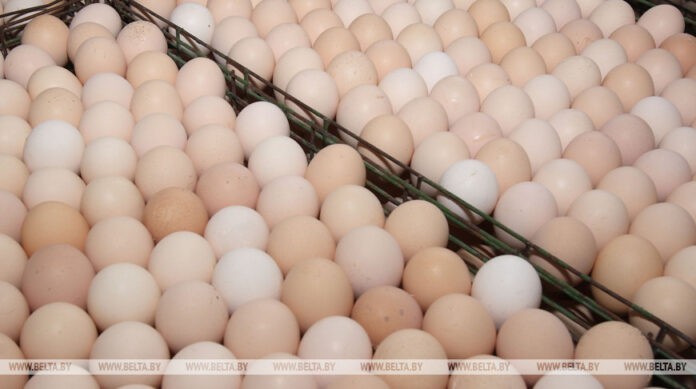 Производство сельхозпродукции в Беларуси в январе-марте увеличилось на 1,7%