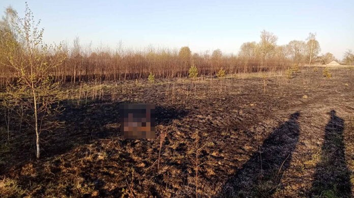 При пожаре сухой травы погиб пенсионер
