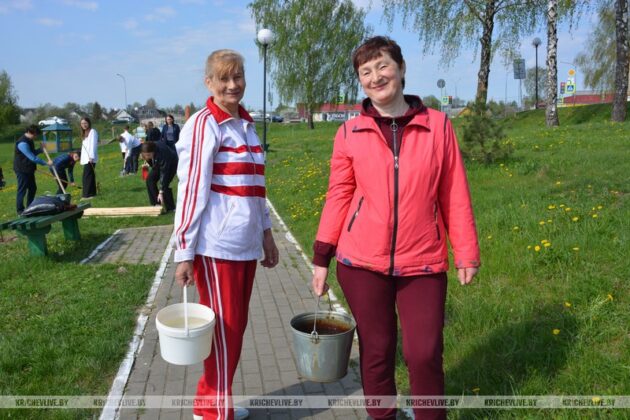 Железнодорожники Кричевщины высадили 80 лип в честь 80-летия Великой Победы