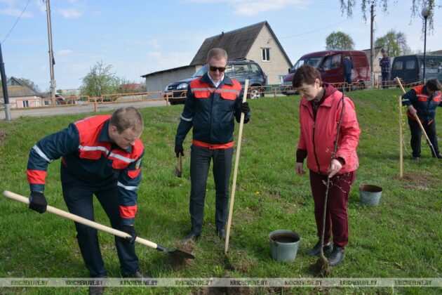 Железнодорожники Кричевщины высадили 80 лип в честь 80-летия Великой Победы