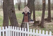 Кричевский фермер благоустроил криницу в Низках Кричевский фермер благоустроил криницу в Низках