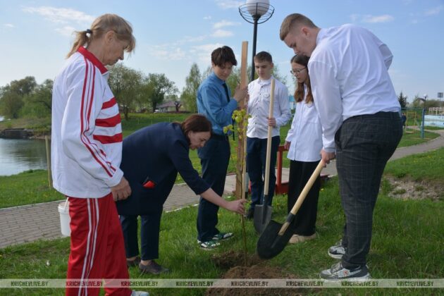 Железнодорожники Кричевщины высадили 80 лип в честь 80-летия Великой Победы