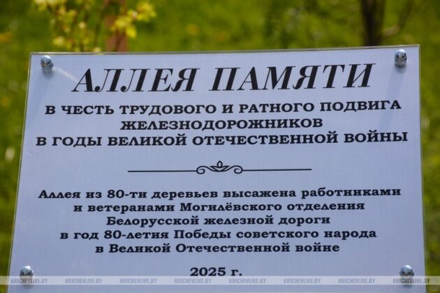 Железнодорожники Кричевщины высадили 80 лип в честь 80-летия Великой Победы