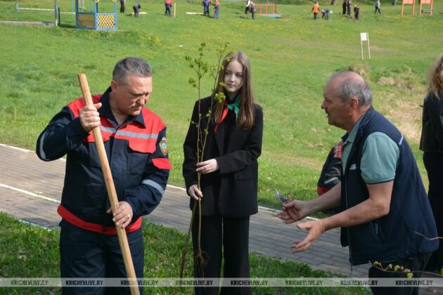 Железнодорожники Кричевщины высадили 80 лип в честь 80-летия Великой Победы