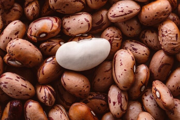 Какой продукт снижает уровень холестерина, рассказала врач