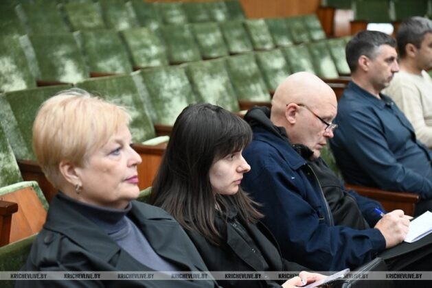 Председатель и кричевляне сошлись во мнении: узнали подробности