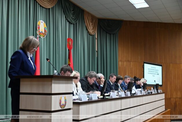 Бюджет Кричевского района сохраняет социальную направленность