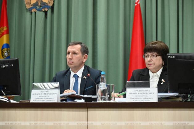 Кричевский исполком оценил эффективность работы по профилактике ДТП