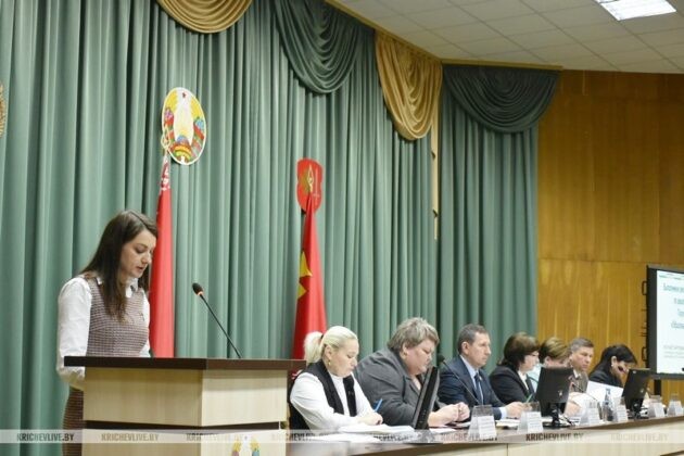 Кричевские депутаты оценили ход реализации в районе Государственной программы «Образование и молодежная политика»