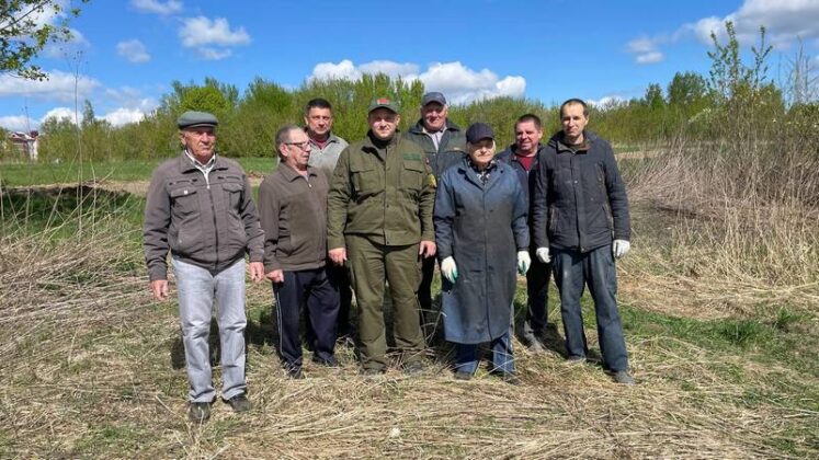 Чистота и благоустройство в Кричеве: Общее дело для каждого