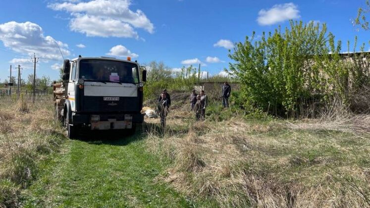 Чистота и благоустройство в Кричеве: Общее дело для каждого