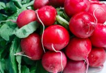 Секреты редиса: как он улучшает здоровье и пищеварение Секреты редиса: как он улучшает здоровье и пищеварение