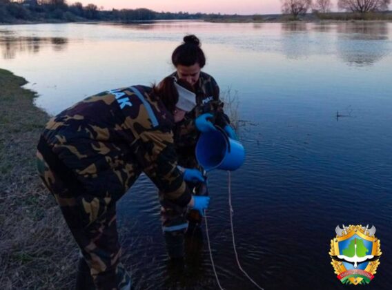 В Кричеве сточные воды попали в Сож: угрозы для населения нет