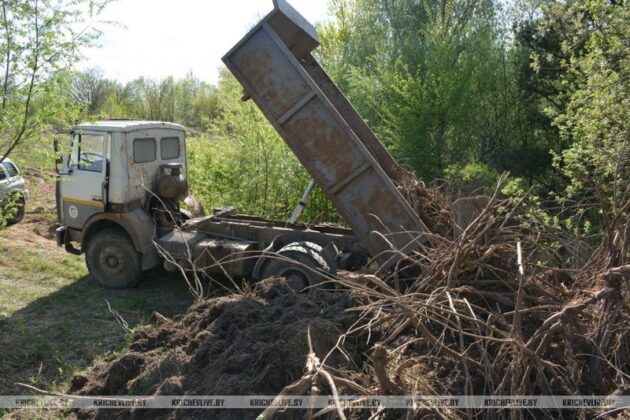 В Кричеве задержан нарушитель природоохранного законодательства