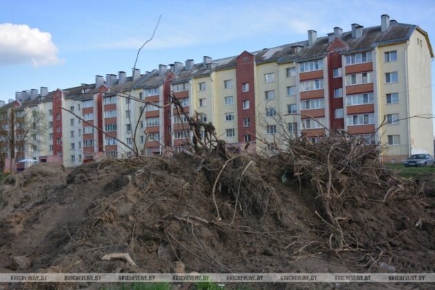 В Кричеве задержан нарушитель природоохранного законодательства