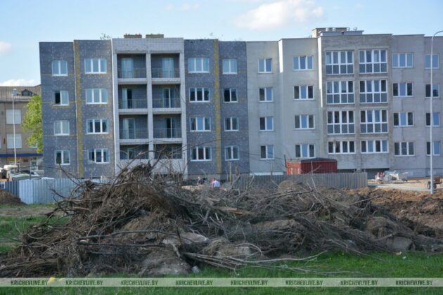 В Кричеве задержан нарушитель природоохранного законодательства