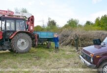 Узнали, за что в Кричеве задержали работника одного из предприятий Узнали, за что Кричеве задержали работника одного из предприятий