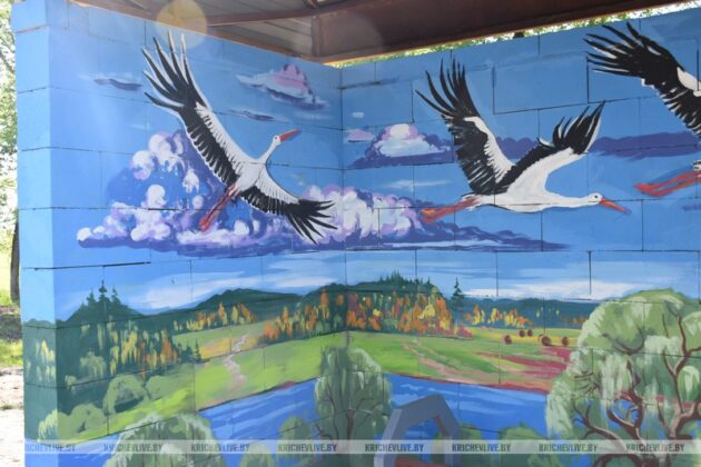Остановки Кричевщины преобразились