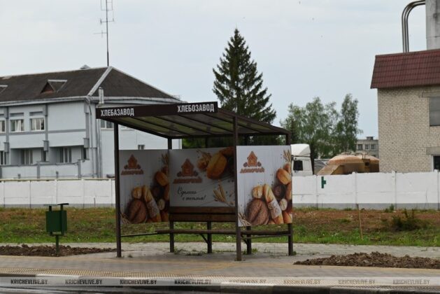 Тематическая остановка появилась в Кричеве