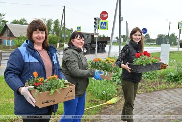 Молодежная клумба появилась в Кричеве