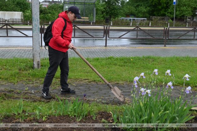 Молодежная клумба появилась в Кричеве